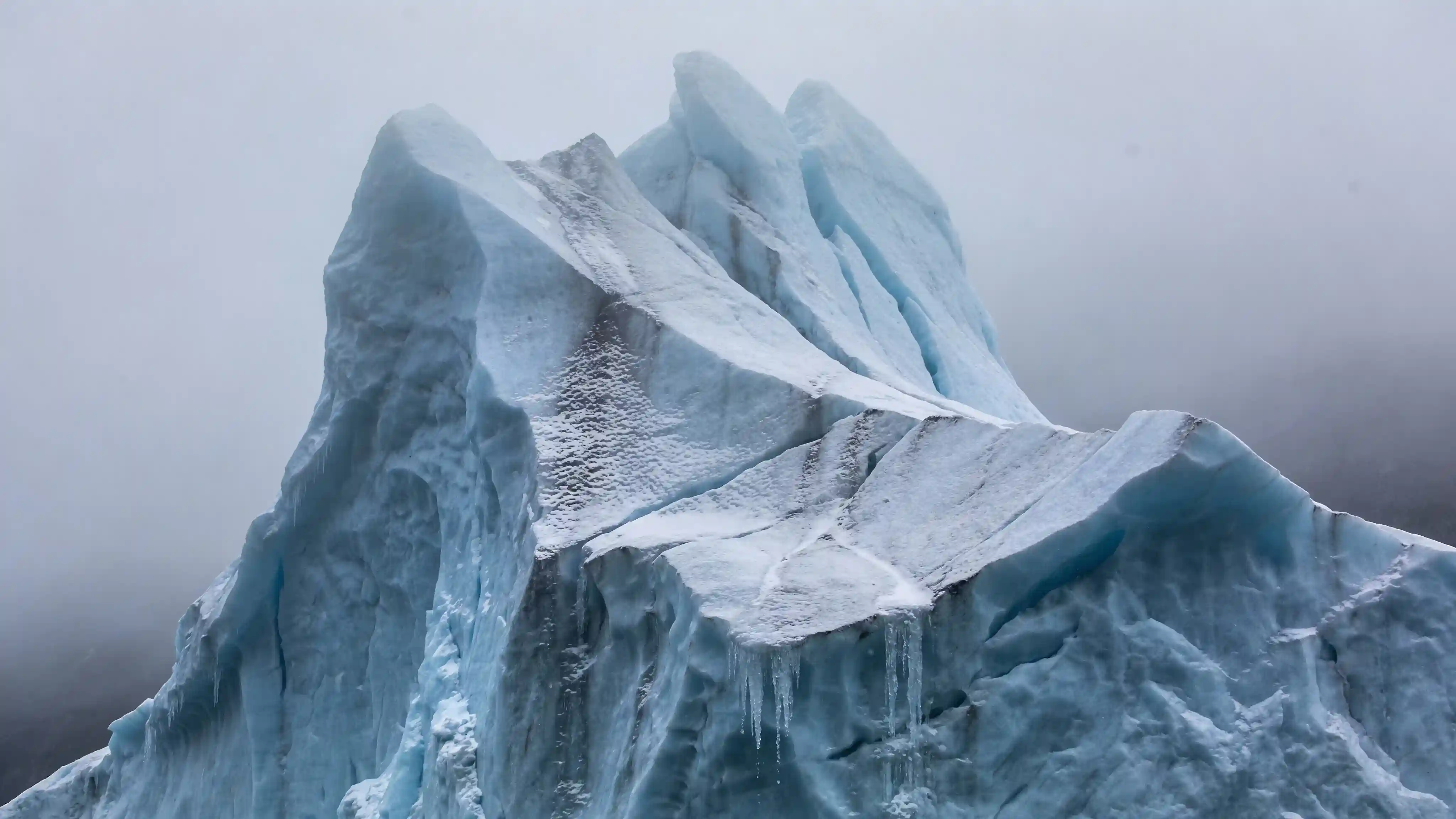 Applications professionnelles et cas d'utilisation